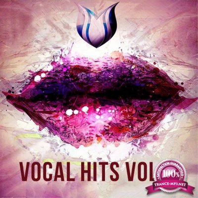 Vocal Hits Vol.2 (2016)