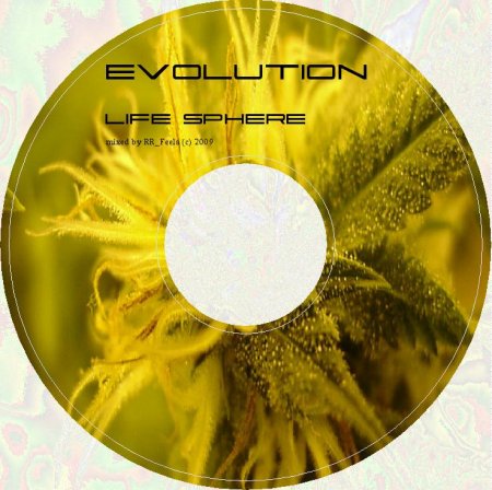 VA - Life Sphere: Evolution (mixed by RR_Feela) - 2009