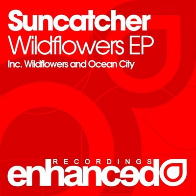 Suncatcher - Wildflowers / Ocean City (ENHANCED044)