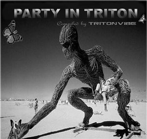 VA - Party In Triton (2010)