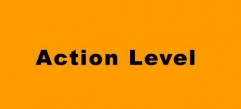 Action Level - Promo Mix (December 2010)