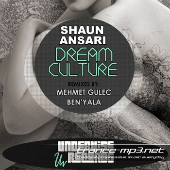 Shaun Ansari-Dream Culture-2011