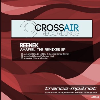 Reneek-Amafeel The Remixes-WEB-2011