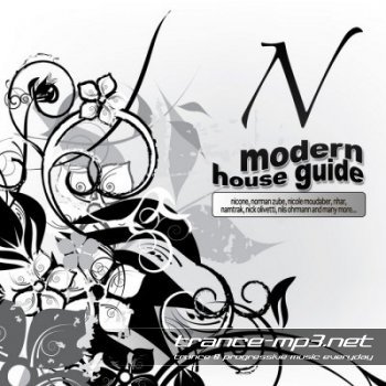 Modern House Guide N 2011