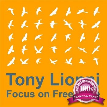 Focus On Freerange (Mixed By Tony Lionni) 2011