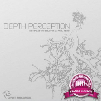 Depth Perception 2011