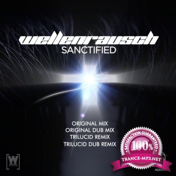 Wellenrausch-Sanctified-WEB-2011