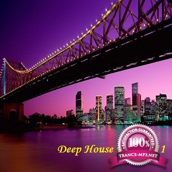 Deep House vol 5 2011