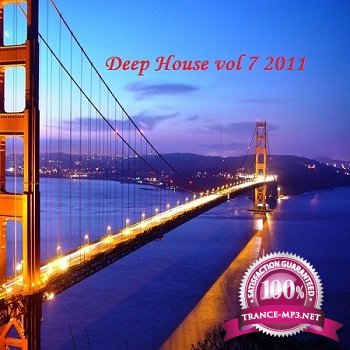 Deep House vol 7 (2011)