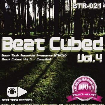 Beat Cubed Vol. 4 (2011)  