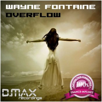 Wayne Fontaine-Overflow-(DMAX 011)-WEB-2011