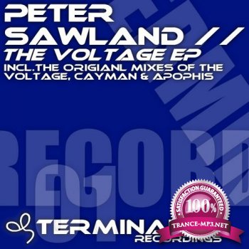 Peter Sawland-The Voltage EP-TERM069-WEB-2011
