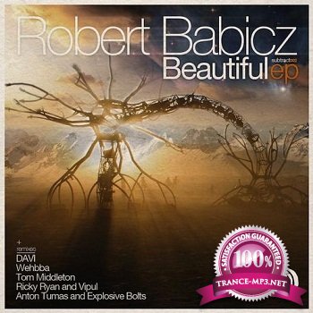 Robert Babicz - Beautiful (2011)