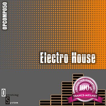 Electro House 11 (2011)