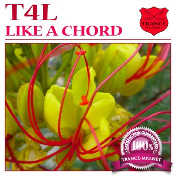 T4L-Like A Chord Incl Paul Ercossa Remix-(ITWT529-0)-WEB-2011