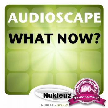 Audioscape - What Now - 1763WNUK - WEB - 2011