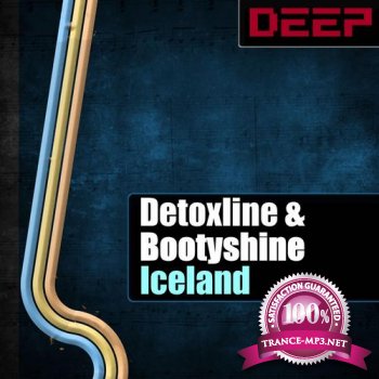 Detoxline and Bootyshine-Ice Land-DMAXD002-WEB-2011
