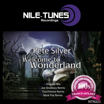 Pete Silver-Welcome To Wonderland-(NTR006)-WEB-2011