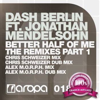 Dash Berlin Feat Jonathan Mendelsohn-Better Half Of Me The Remixes Part 1-AROPA018-WEB-2011