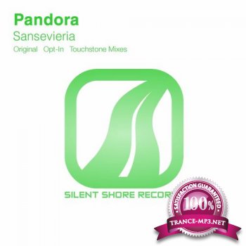 Pandora-Sansevieria-SSR090-WEB-2012