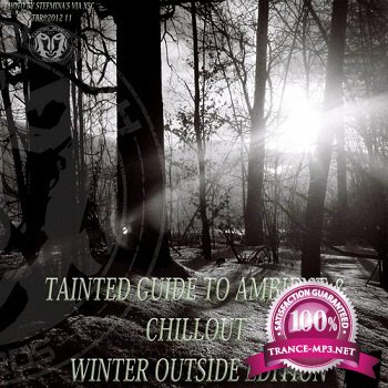 Tainted Guide To Ambient & Chillout Winter Outside Edition (2012)