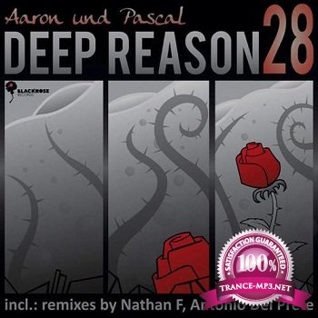 Aaron Und Pascal  Deep Reason (2012)