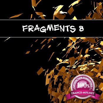 Fragments 8 (2012)