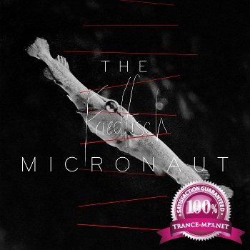 The Micronaut - Friedfisch (2012)