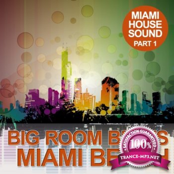 VA - Big Room Beats In Miami Beach (Miami House Sound Part 1) (2012)