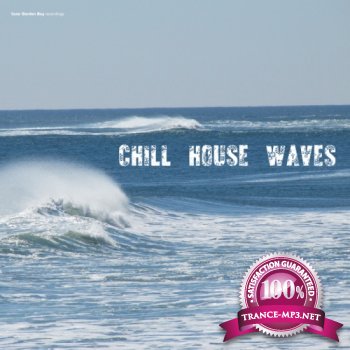 VA - Chill House Waves (2012)