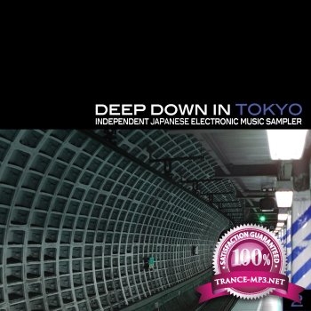 VA - Deep Down In Toyko 2 (Independent Japanese Electronic Music Sampler)(2011)