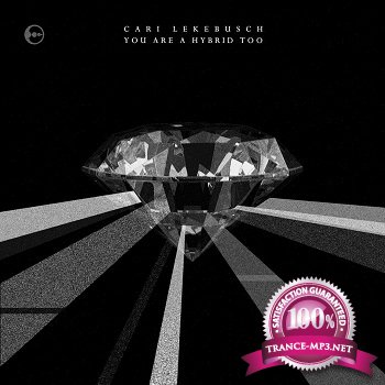 Cari Lekebusch - You Are A Hybrid Too (2012)