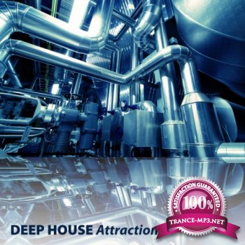 VA - Deep House Attraction (2011)