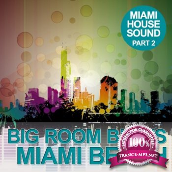 VA - Big Room Beats in Miami Beach (Part 2)(2012)