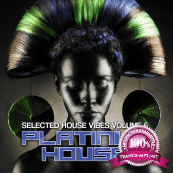 VA - Platinum House, Vol. 6 (Selected House Vibes) (2012)
