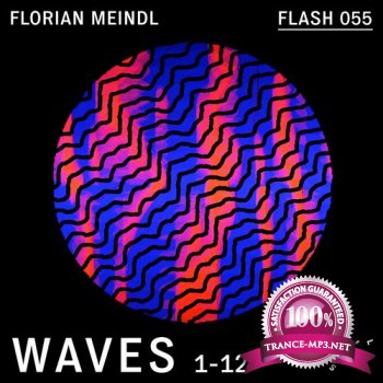 Florian Meindl  Waves (2012)