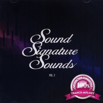 Theo Parrish - Sound Signature Sounds Vol. 2 (2012)
