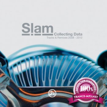 Collecting Data: Tracks & Remixes 2008-2012 (2012)