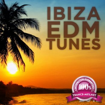 Ibiza EDM Tunes 2012 (2012)