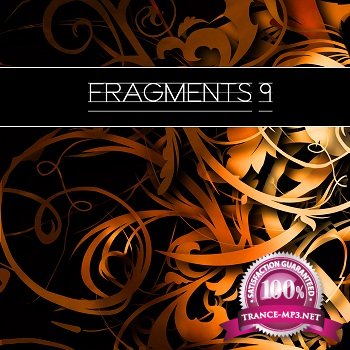 Fragments 9 (2012)