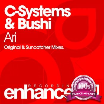 C-Systems and Bushi-Ari-ENHANCED128-WEB-2012