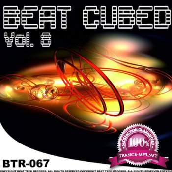 VA - Beat Cubed Vol. 8 (2012)