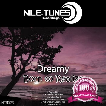 Dreamy - Born To Realize