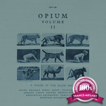 Opium Vol.2: A Phase In The Slow Walk (2012)