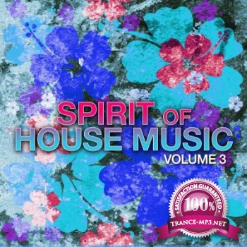 VA - Spirit of House Music Vol 3 (2012)
