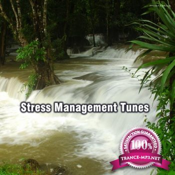 Stress Management Tunes (2012)