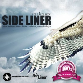 Side Liner  I Am A Bird Now (2012)