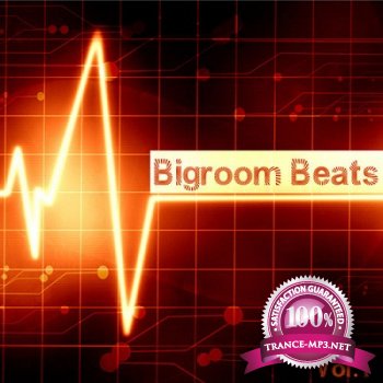 Bigroom Beats Vol.1 (2012)