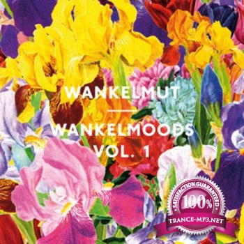 Wankelmoods Vol.1: Compiled By Wankelmut (2012)