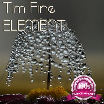 Tim Fine-Element